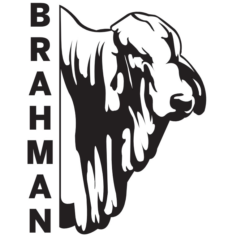 Zimbabwe Brahman
